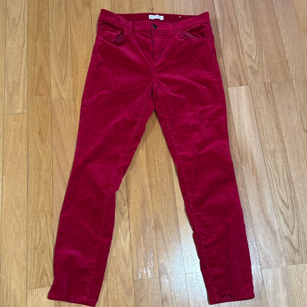 Loft velvet dress pants